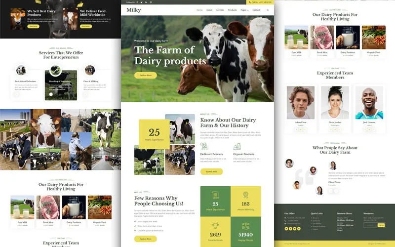 Responsive Image