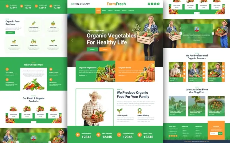 Responsive Image