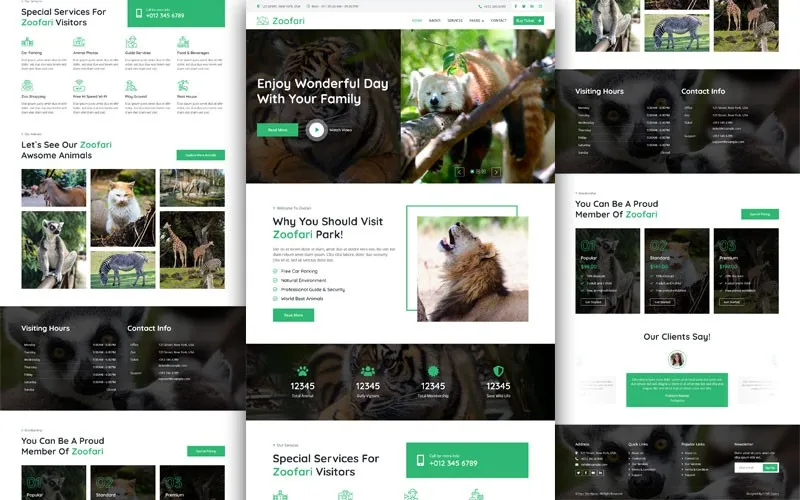 Responsive Image